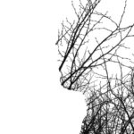 Blindagem Emocional Como Lidar com Colegas Tóxicos sem Esgotar sua Energia