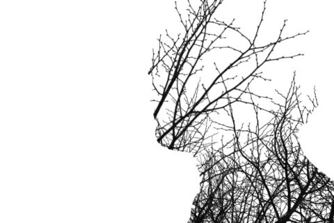 Blindagem Emocional Como Lidar com Colegas Tóxicos sem Esgotar sua Energia