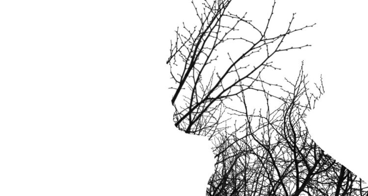 Blindagem Emocional Como Lidar com Colegas Tóxicos sem Esgotar sua Energia